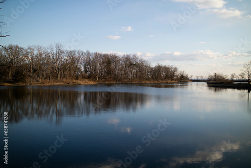 reflection of trees in the water