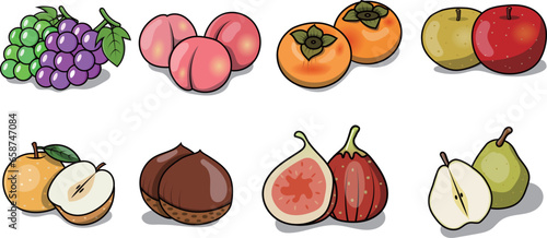 秋の果物のイラスト素材	

