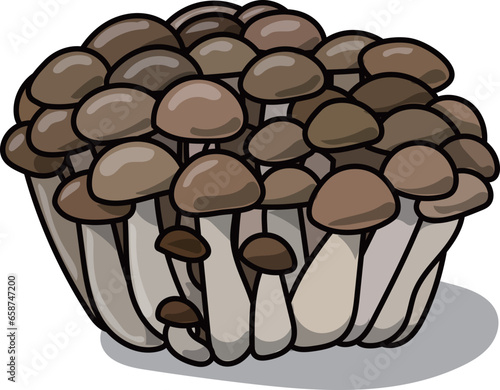 ポップなぶなしめじのイラスト素材	
