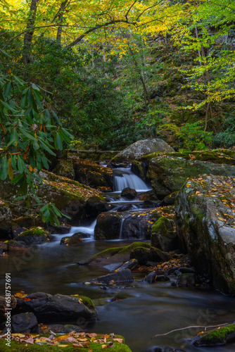 Autumn along the mountain creek