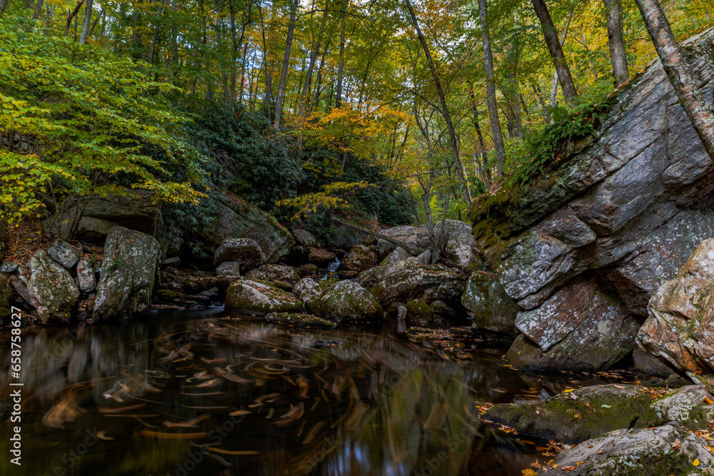 Autumn along the mountain creek Autumn along the mountain creek
