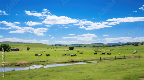 free-range cows grazing on a pasture, framed by a blue sky. Eco-Friendly, Organic Farming
