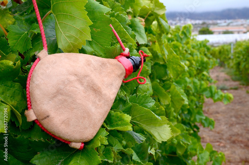 View of a vineyard with leather handmade wineskin in the foreground in Tenerife,Canary Islands,Spain.Selective focus. photo