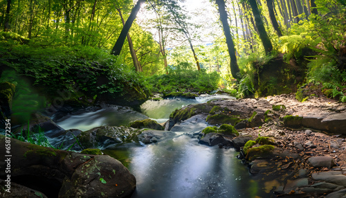 Capture the serene beauty of a lush forest scene with a crystal-clear stream gently flowing through it