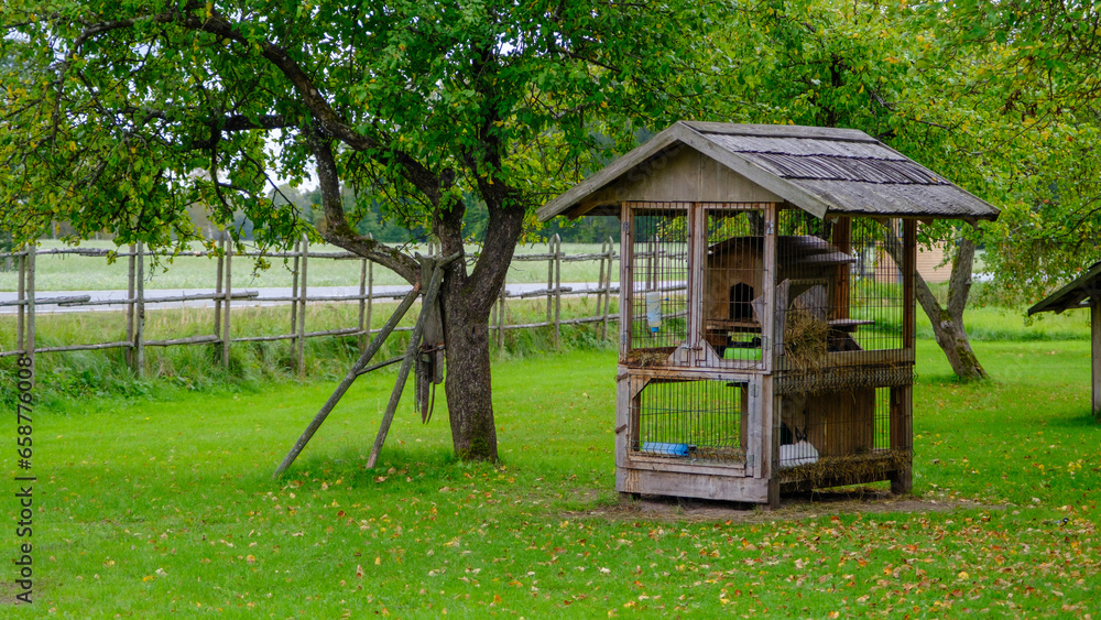 Household rabbit farm. Cute fluffy rabbits in cages. Agricultural livestock