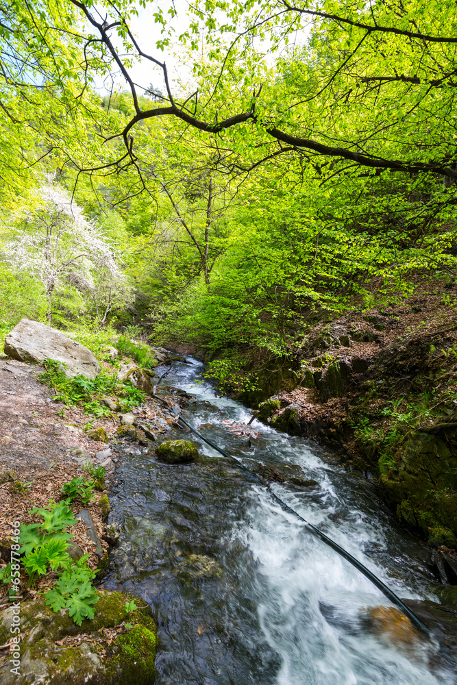 View of the brook in North Caucasus mountains, Ingushetia, Russia