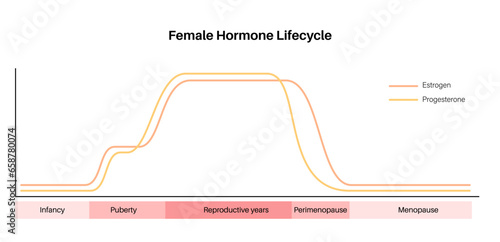 Hormones in pregnancy