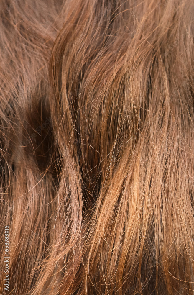 Texture of fine long brown hair as a background. Bad hair problem Texture of fine long brown hair as a background. Bad hair problem