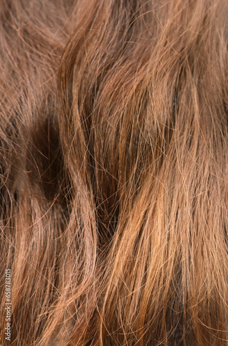 Texture of fine long brown hair as a background. Bad hair problem