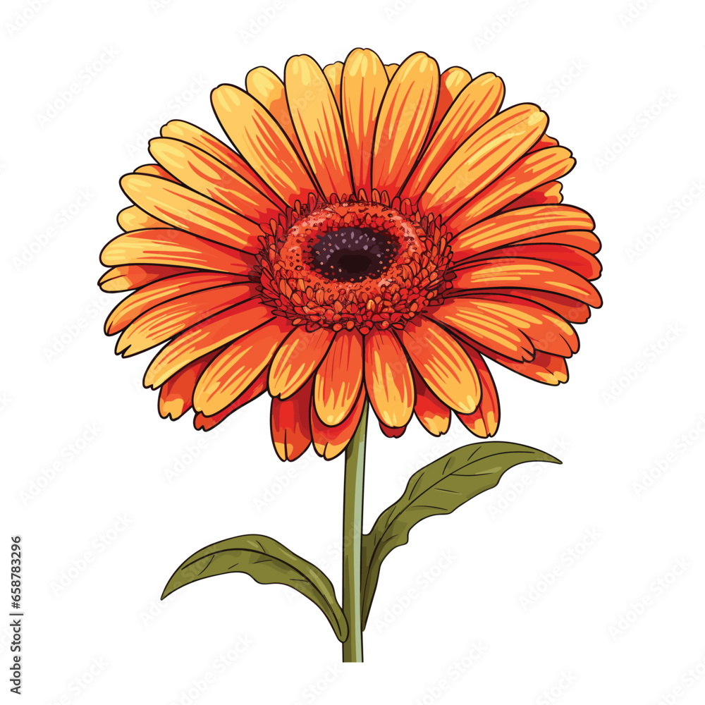 Hand Drawn Flat Color Daisy Flower Illustration Hand Drawn Flat Color Daisy Flower Illustration