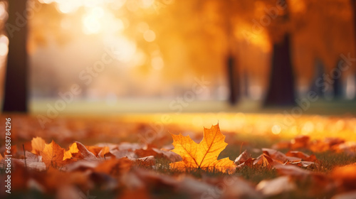 Autumn background with maple leaf in the forest on the ground in sunny weather in warm orange and yellow tones