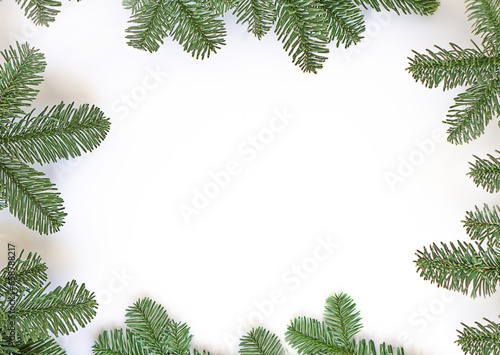 Framework of green fir twings on white paper background.