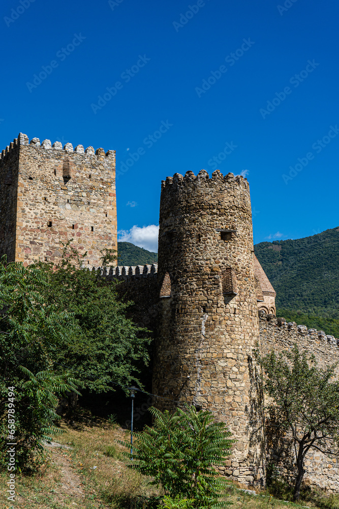 Travel landmark Ananuri castle