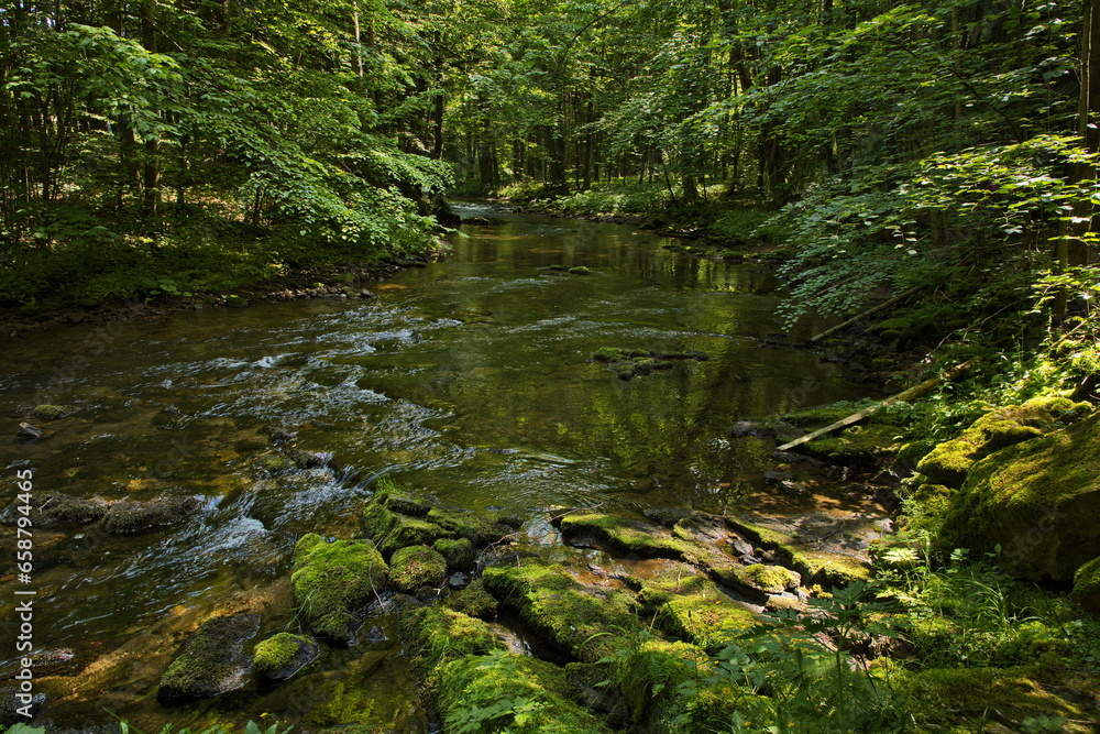 River Zdobnice, Hradec Králové Region, Czech Republic, Europe
River Zdobnice, Hradec Králové Region, Czech Republic, Europe