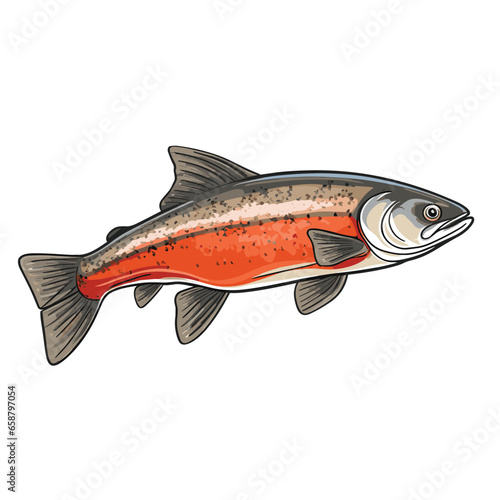 Hand Drawn Flat Color Arctic Char Fish Illustration