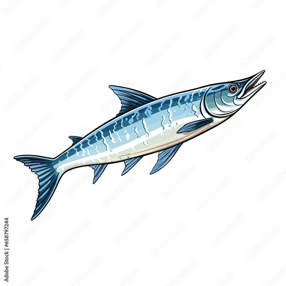Hand Drawn Flat Color Barracuda Fish Illustration