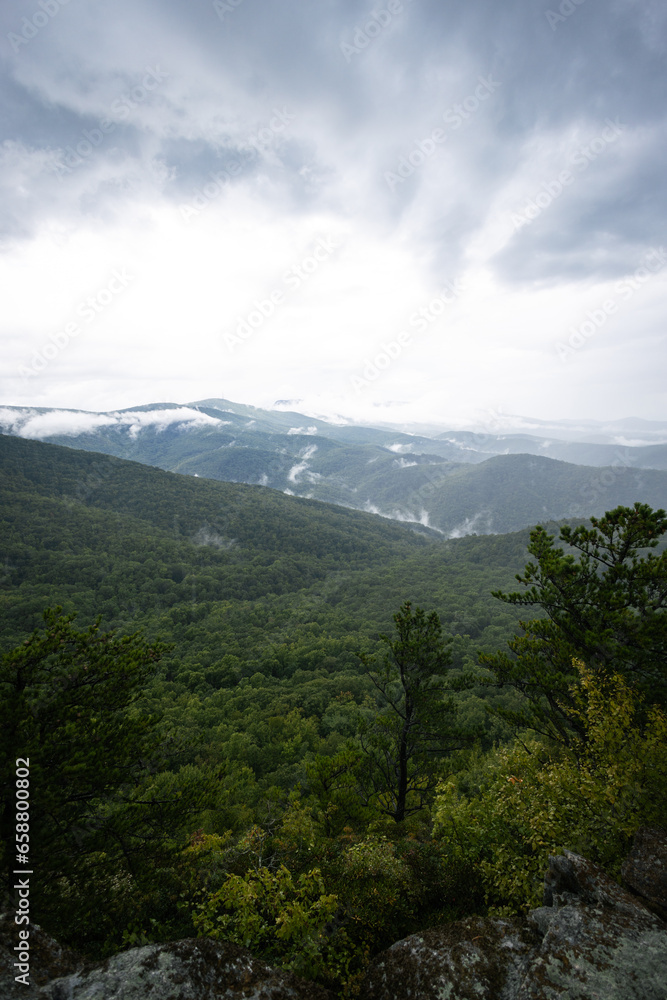 Hiking in the Pisgah National Forest in Western North Carolina in the Summer