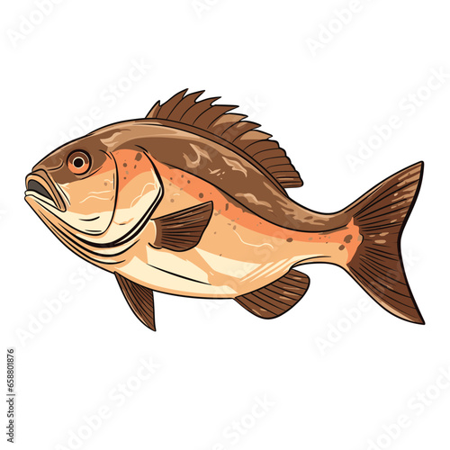 Hand Drawn Flat Color Fish Illustration