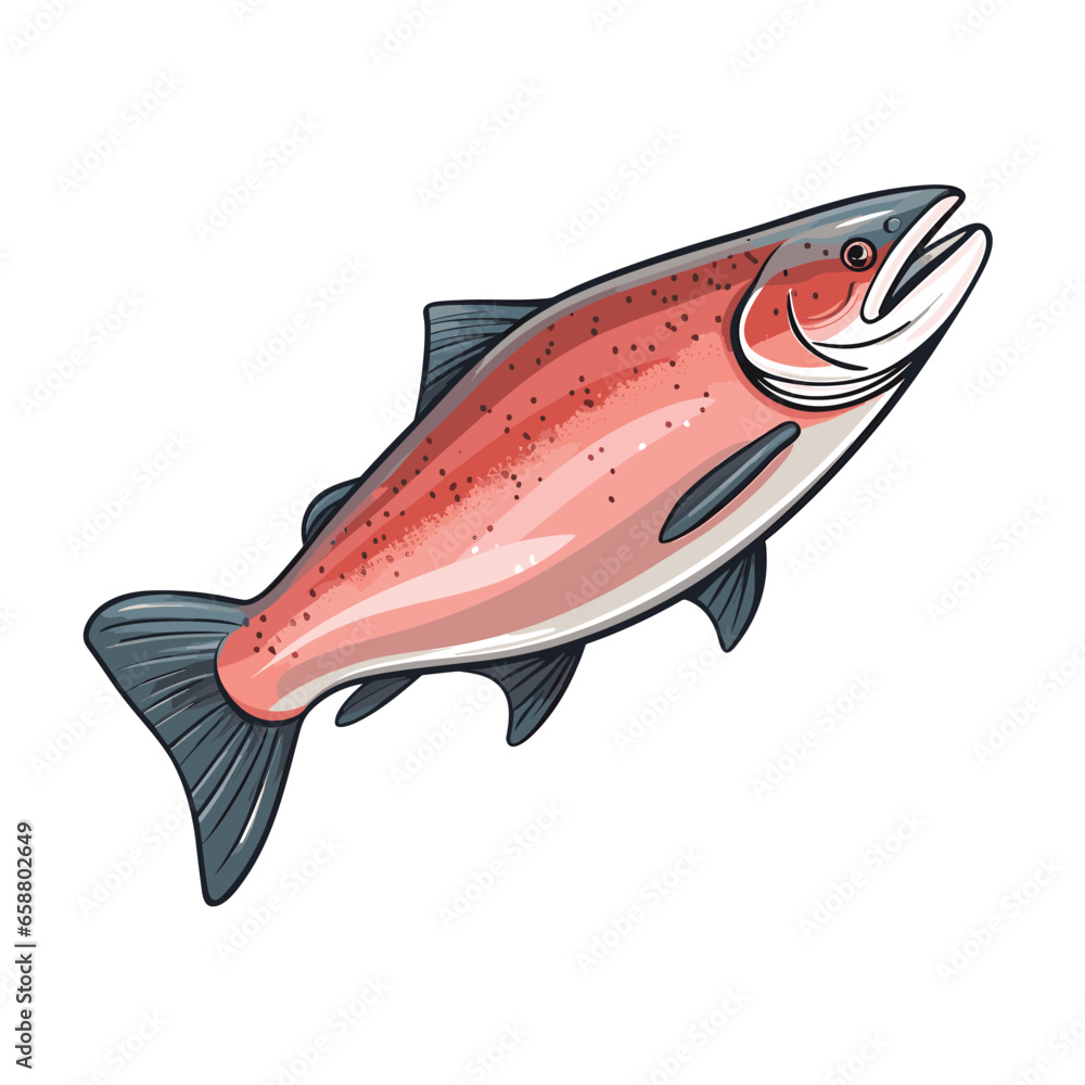 Hand Drawn Flat Color Salmon Fish Illustration Hand Drawn Flat Color Salmon Fish Illustration
