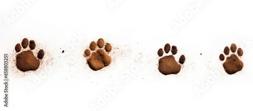 White isolated dog footprints