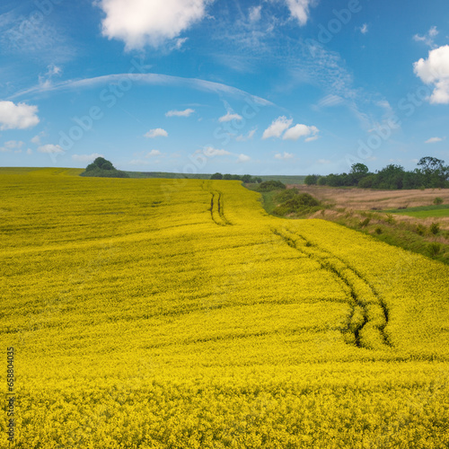 Spring yellow flowering rapeseed fields, ground road, cloudy sky and green hills. Natural seasonal, eco, farming, rural countryside beauty concept background.