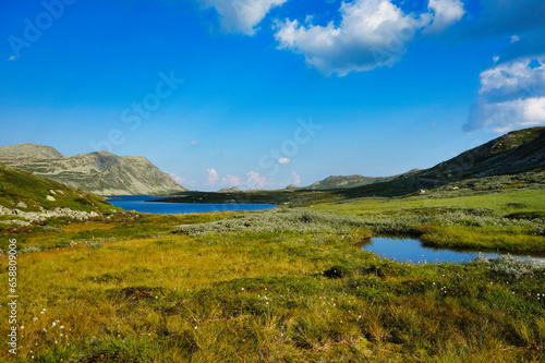 norway lake in a meadow framed by mountains