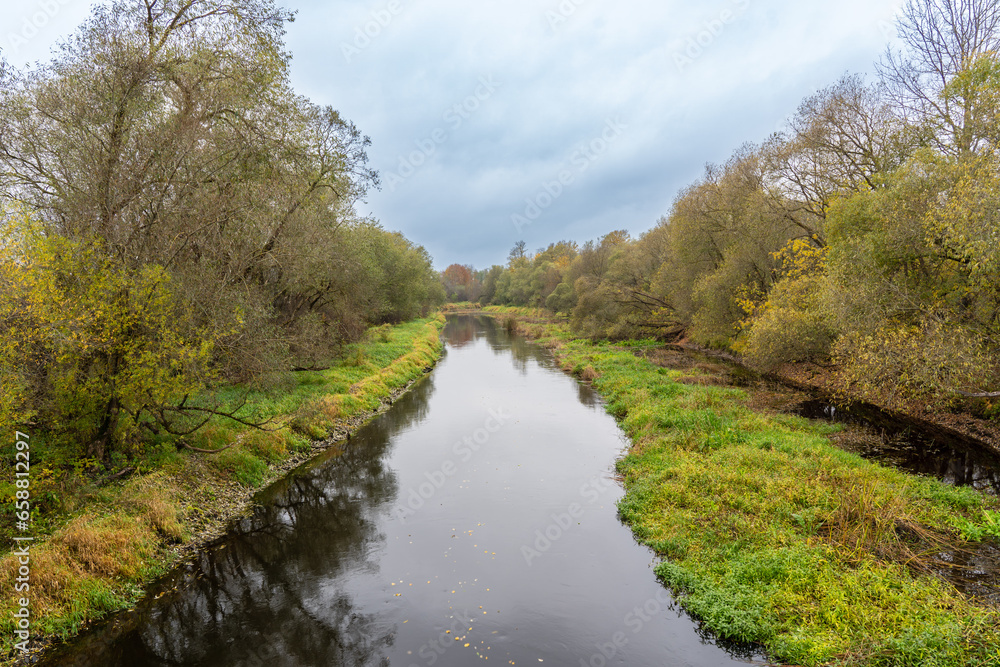 overgrown right bank of the river in autumn