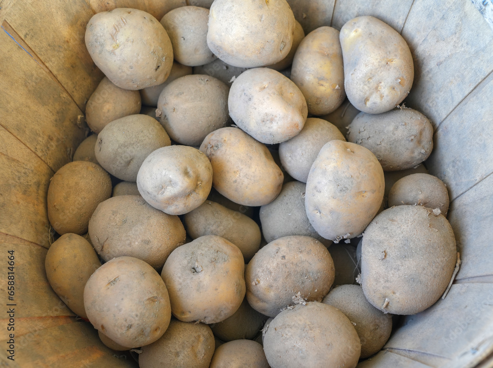 close up on fresh potatos in basket close up on fresh potatos in basket