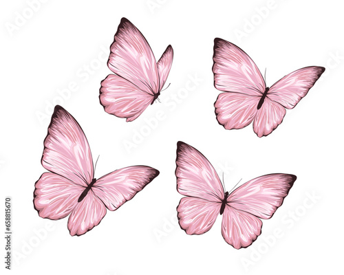 set of butterflies © ulucsevda