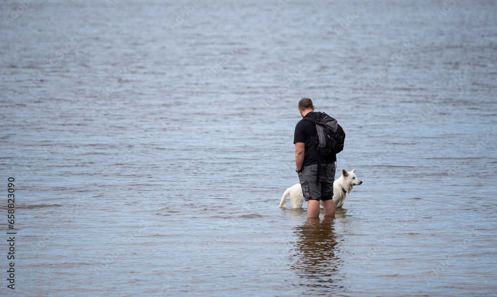 man in the water with his Swiss shepherd dog man in the water with his Swiss shepherd dog