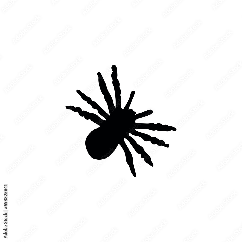 Silhouette of creepy spider on white background Silhouette of creepy spider on white background