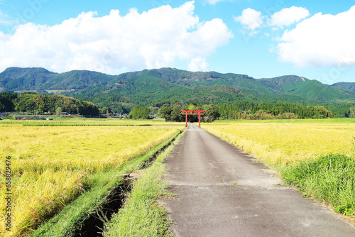 宮崎県の田んぼに建つ菅原神社の鳥居