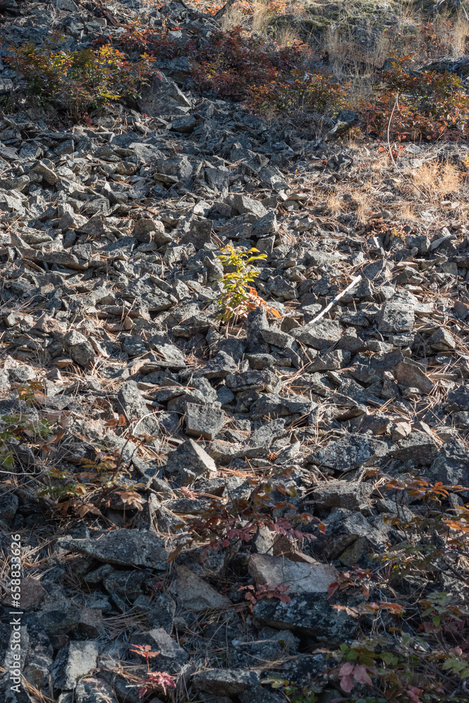 Obraz premium Rock skree