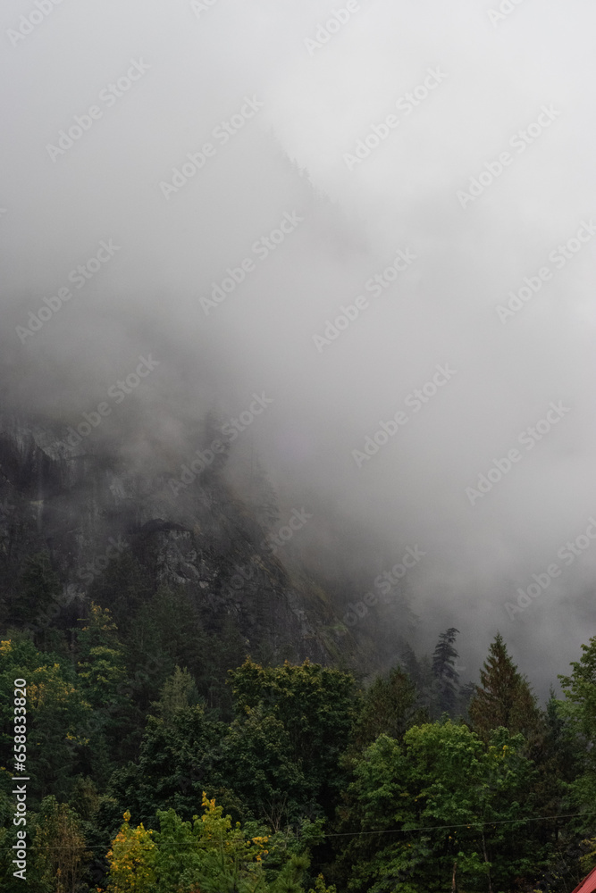 Cloudy mountain forest