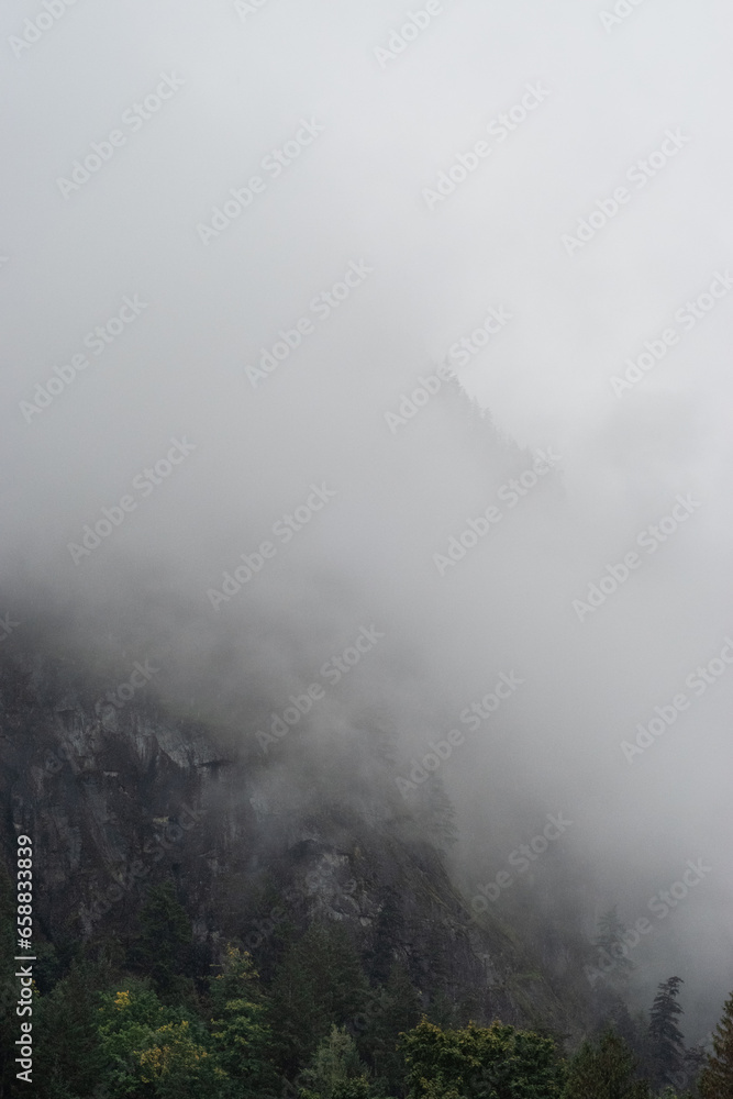 Cloudy mountain forest