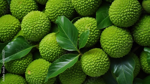 a group of round green balls with green leaves