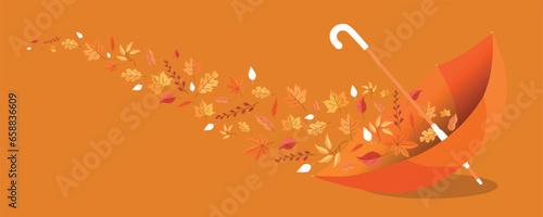 Umbrella and autumn leaves on orange background
