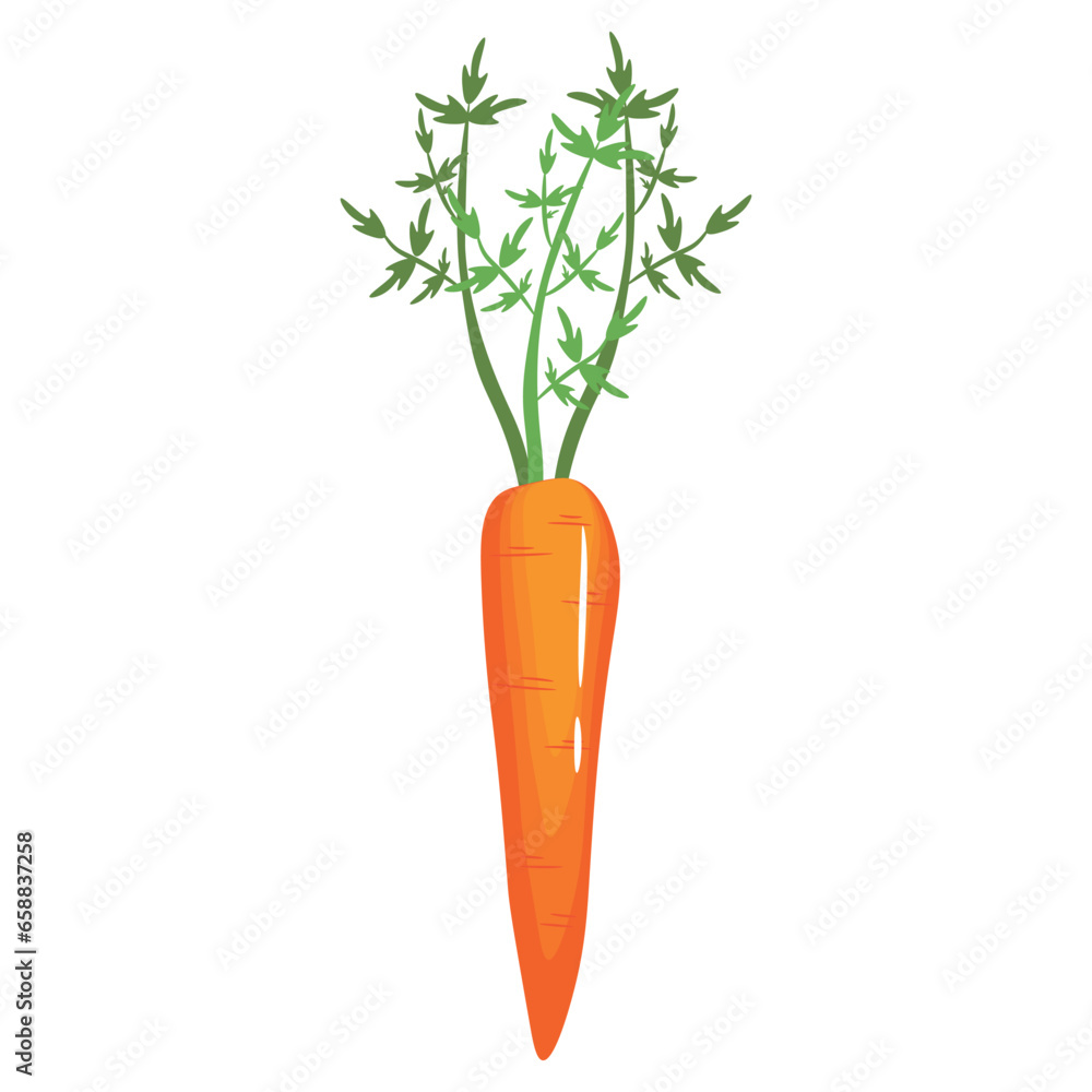 Ripe carrot on white background Ripe carrot on white background