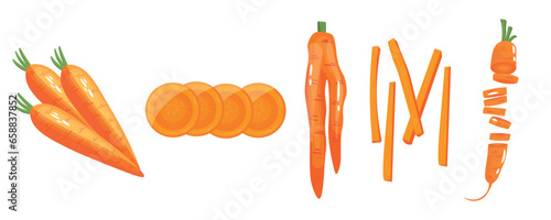 Set of ripe carrots on white background