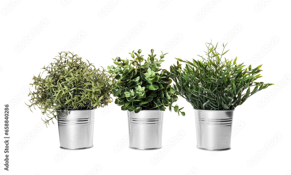 Artificial potted herbs on white background. Home decor Artificial potted herbs on white background. Home decor