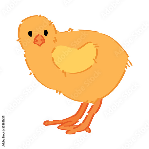 Cute funny chick on white b...