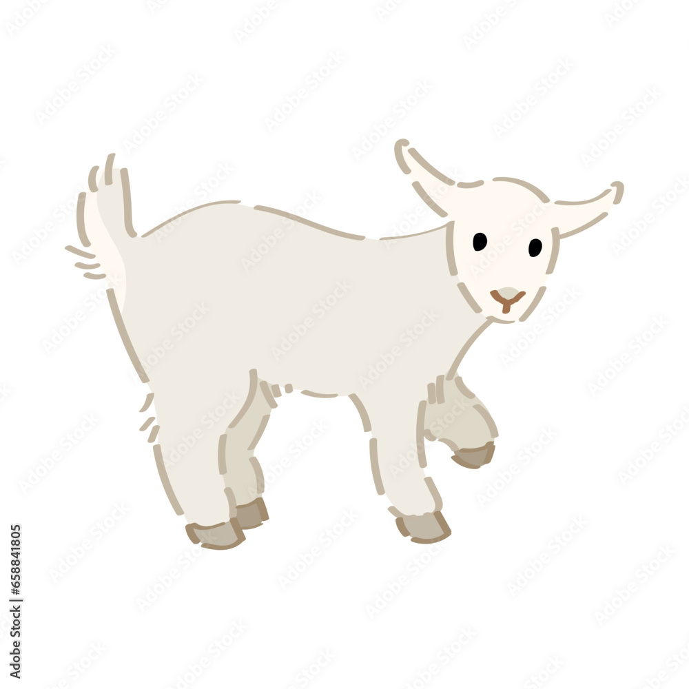 Cute baby goat on white background