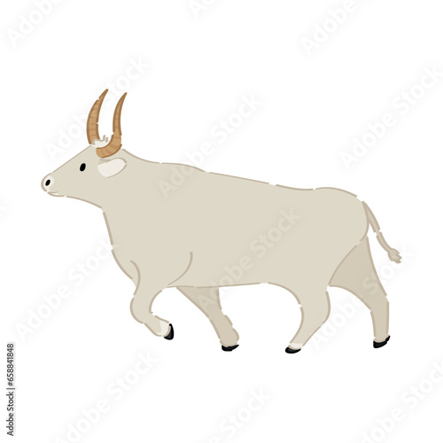 Big bull on white background