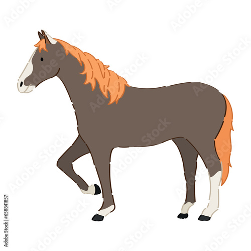 Beautiful horse on white background