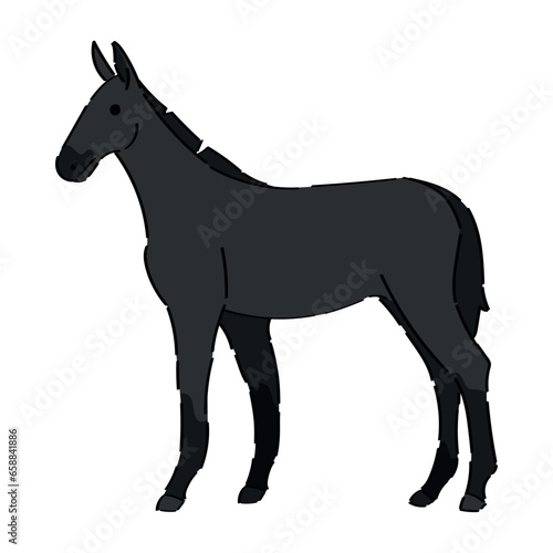 Black horse on white backgr...
