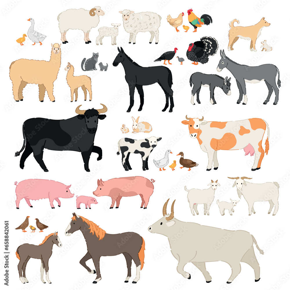 Set of different domestic animals on white background