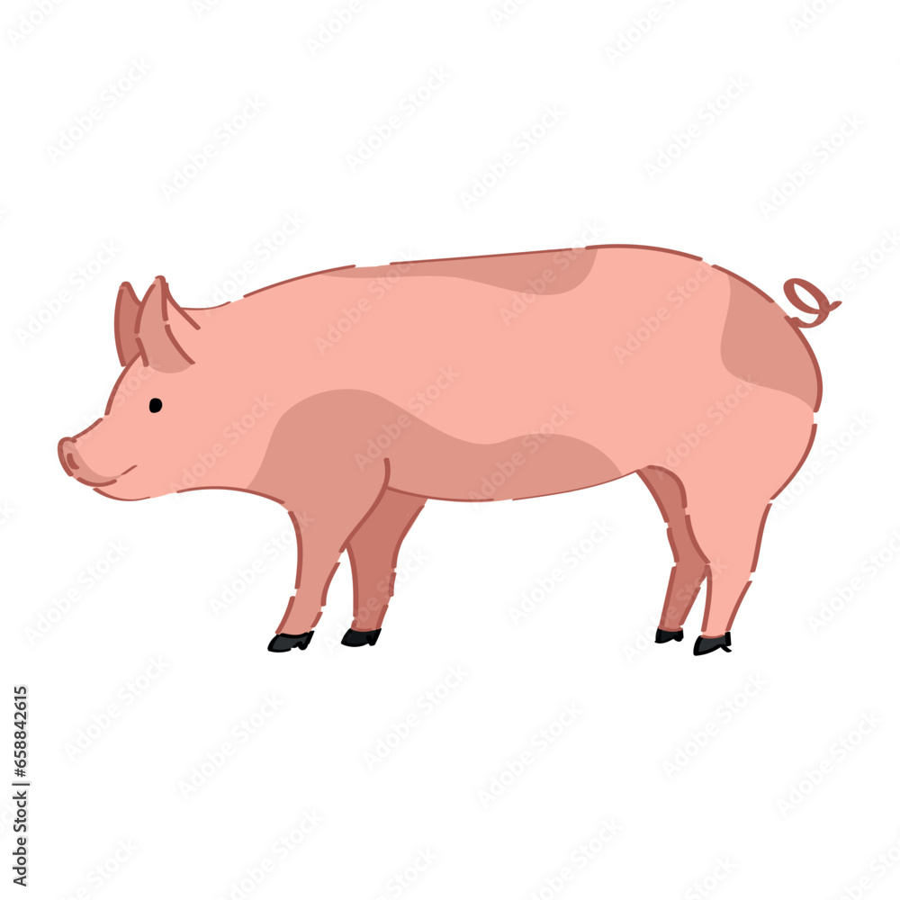 Funny pig on white background Funny pig on white background