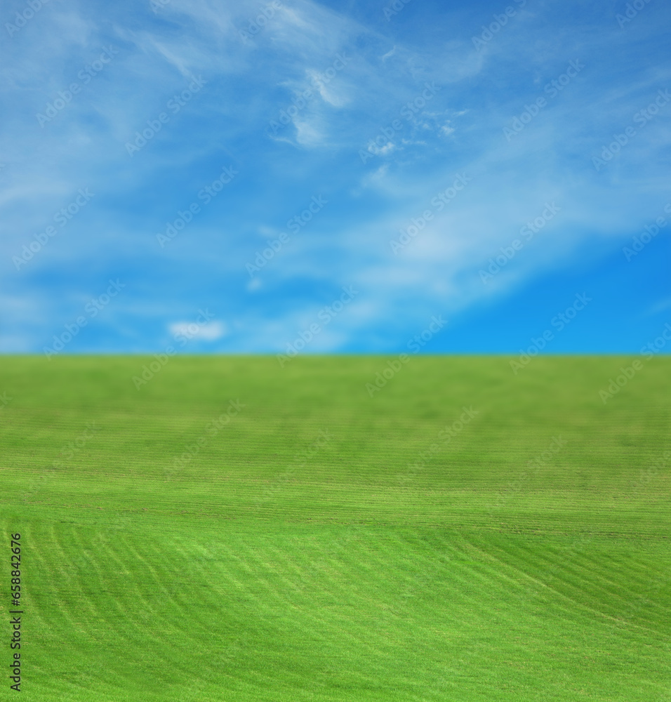 Beautiful lawn with green grass under blue sky
