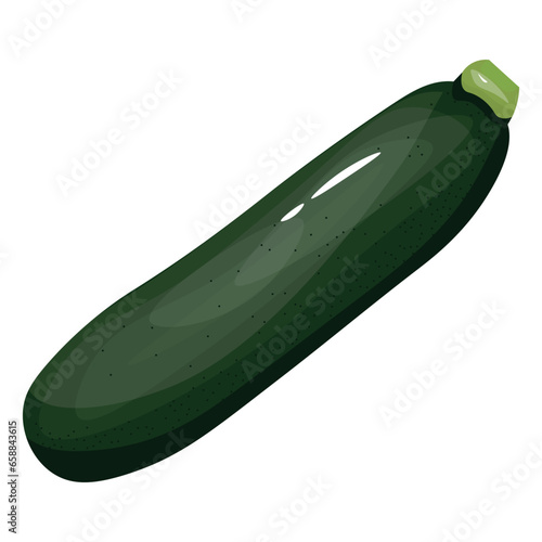 Fresh green zucchini on white background