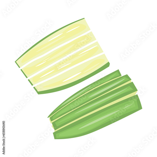 Pieces of fresh green zucchini on white background
